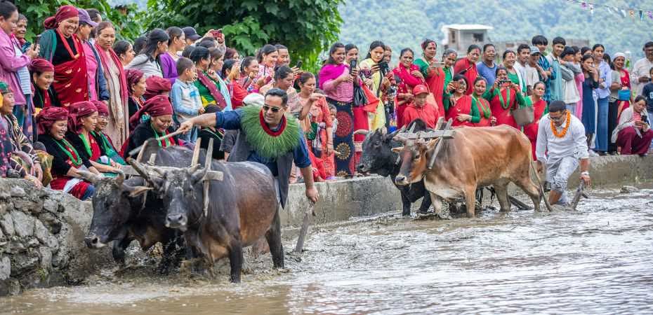 देविस्थान  सेवा समाज हिले महोत्सव -२०८२ सम्पन्न