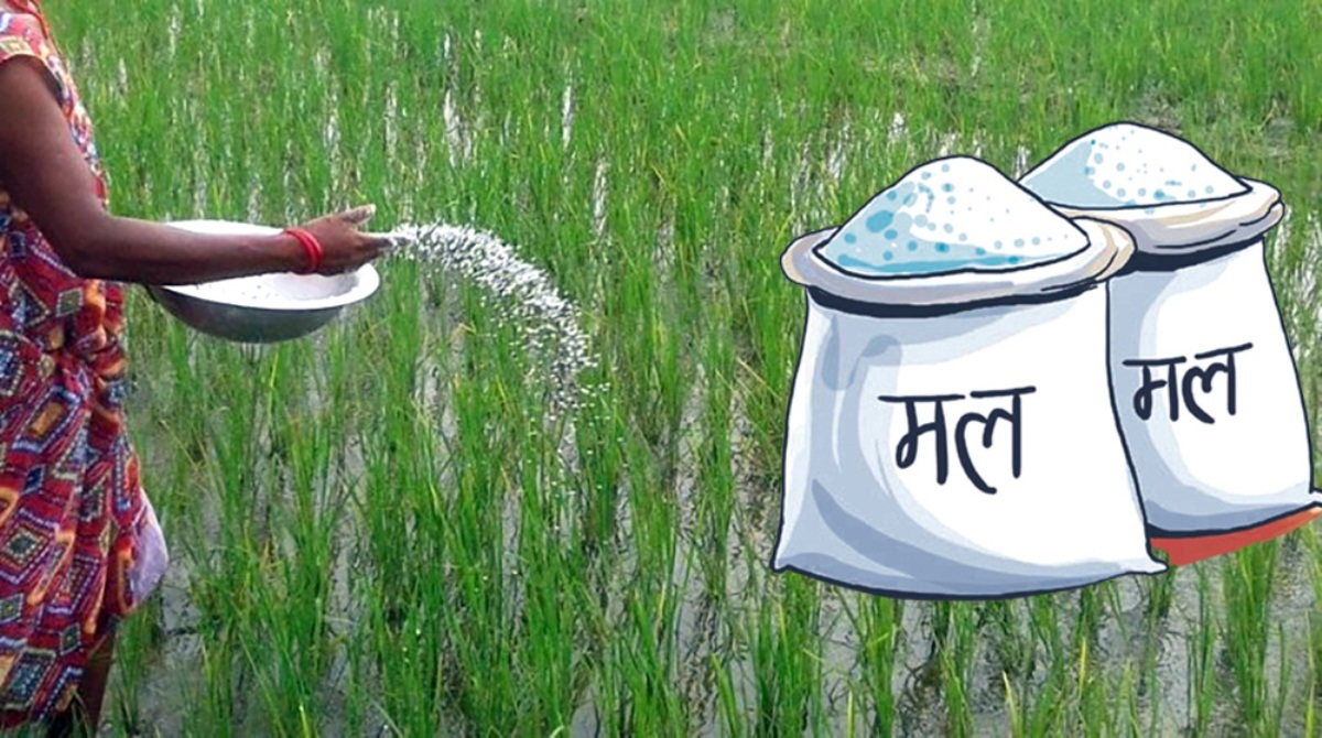 ‘कृषकले पाएनन् माग गरेअनुसार रासायनिक मल
