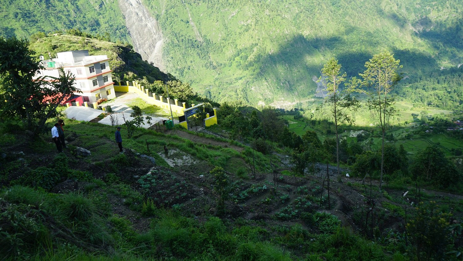 झाडी फाँडेर विद्यार्थीहरूद्वारा तरकारी खेती