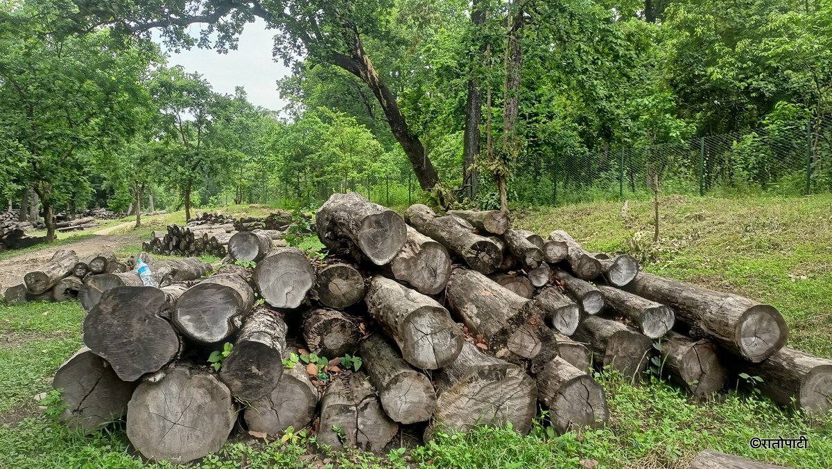 सामुदायिक वनद्वारा आठ करोड रुपैयाँभन्दा बढीको वन पैदावर बिक्री